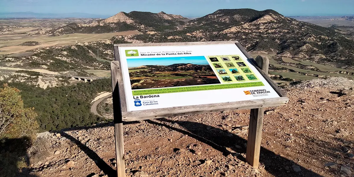 Ejea La Bardena Punta del Alba