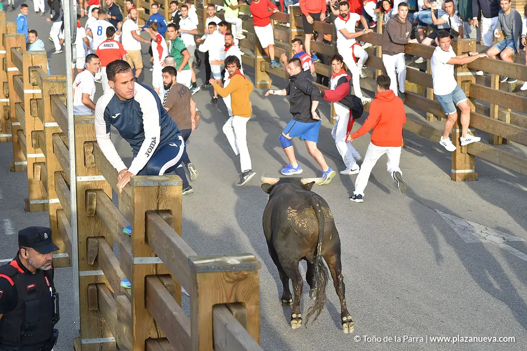 FIESTAS2023_25_ENCIERRO (8)