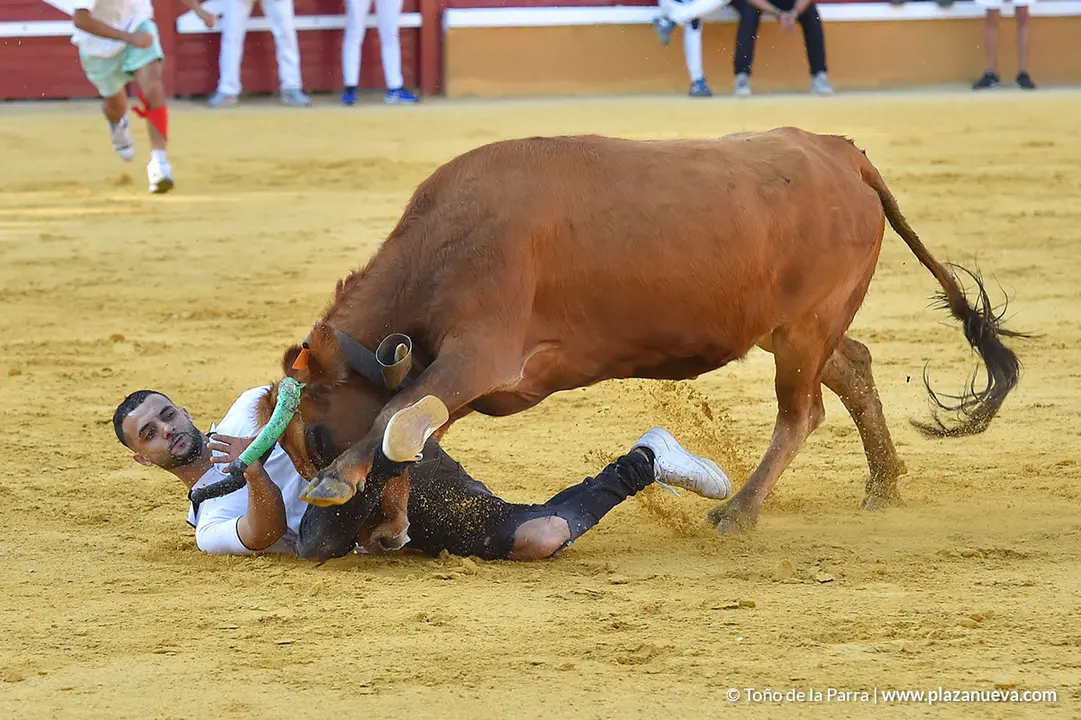 FIESTAS2023_25_ENCIERRO (28)