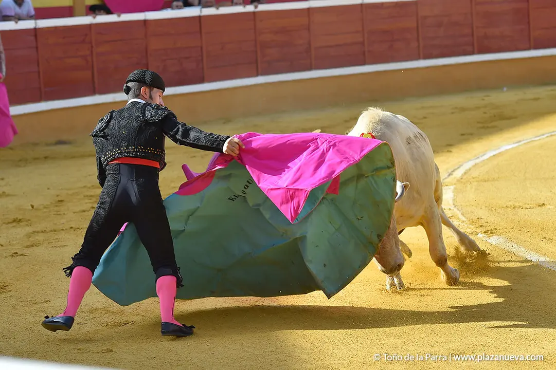 FIESTAS2023_25_NOVILLADA (3)