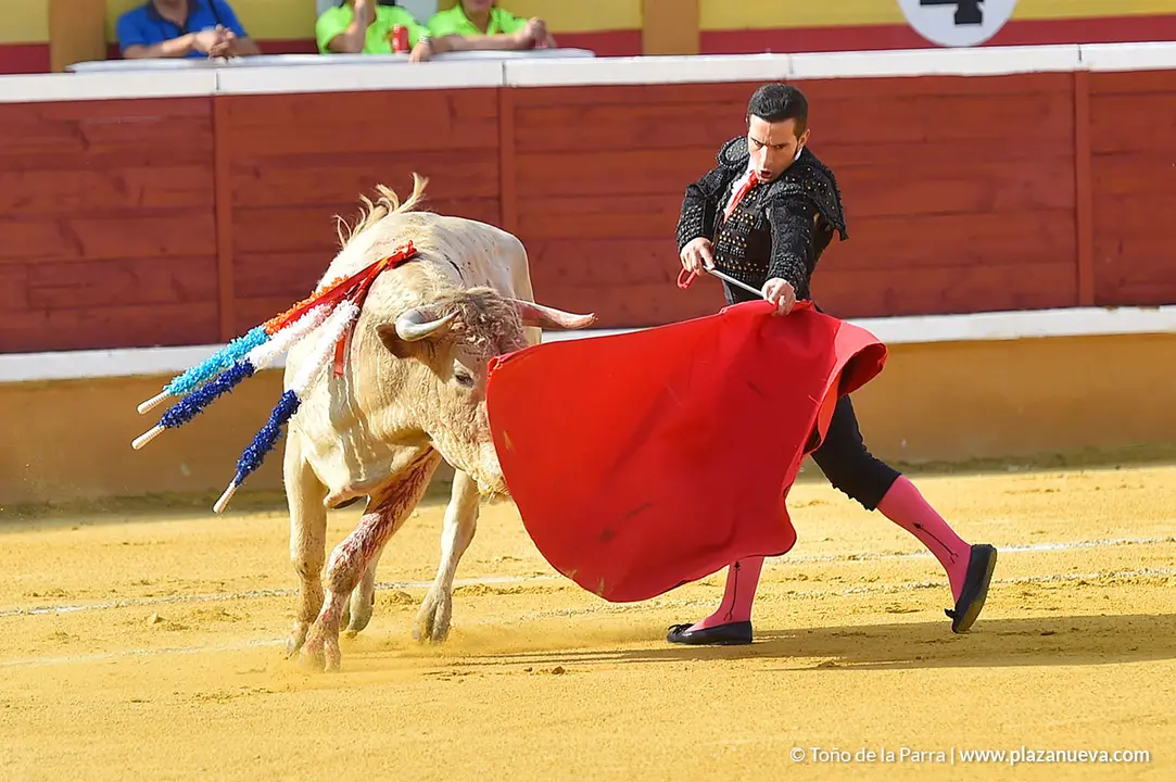 FIESTAS2023_25_NOVILLADA (5)