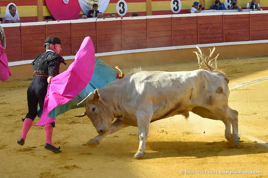 FIESTAS2023_25_NOVILLADA (4)
