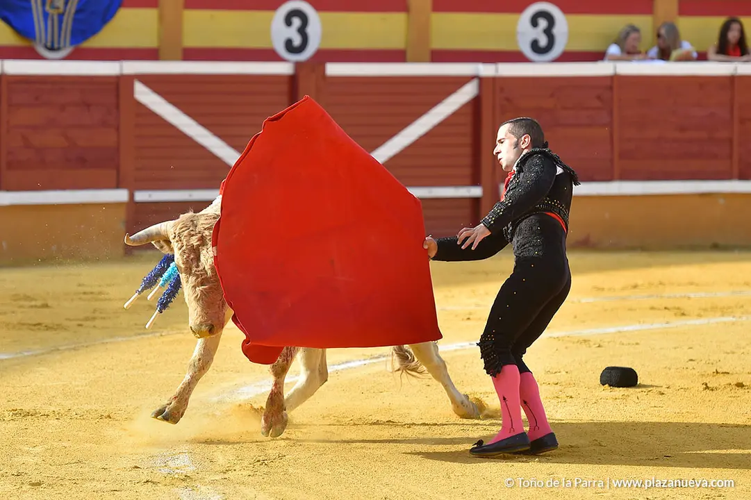 FIESTAS2023_25_NOVILLADA (6)