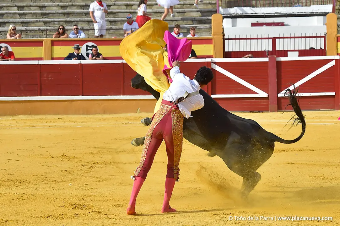 FIESTAS2023_25_NOVILLADA (8)