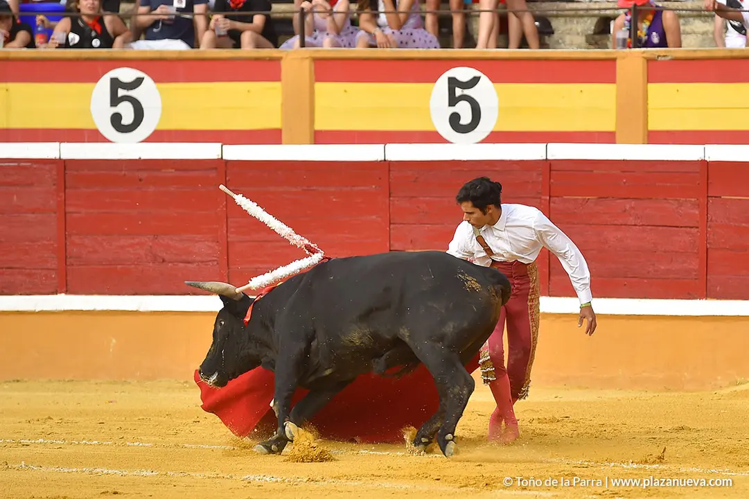 FIESTAS2023_25_NOVILLADA (10)