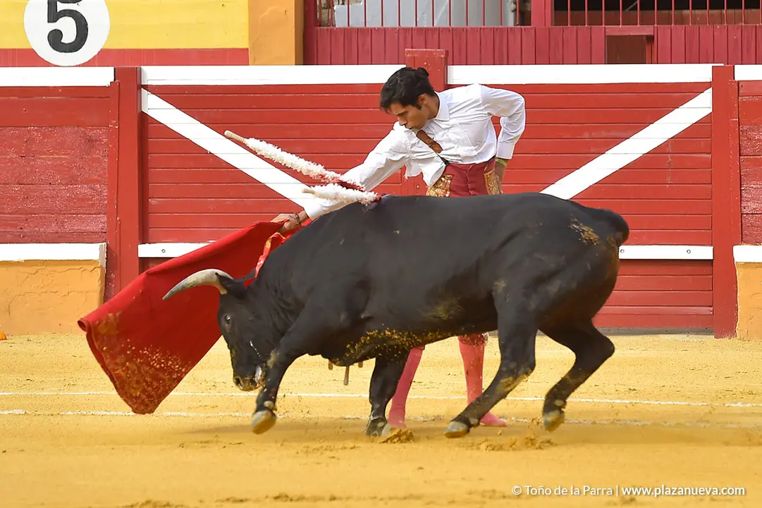 FIESTAS2023_25_NOVILLADA (11)