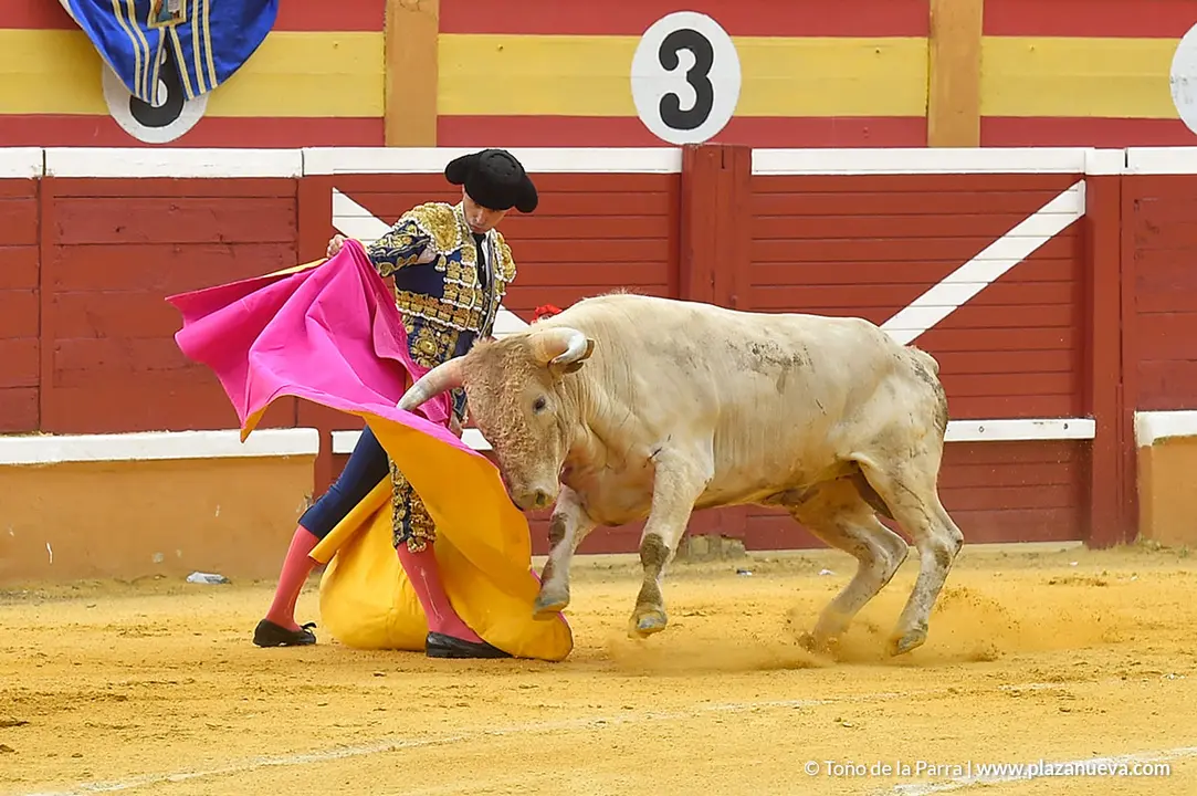 FIESTAS2023_25_NOVILLADA (16)