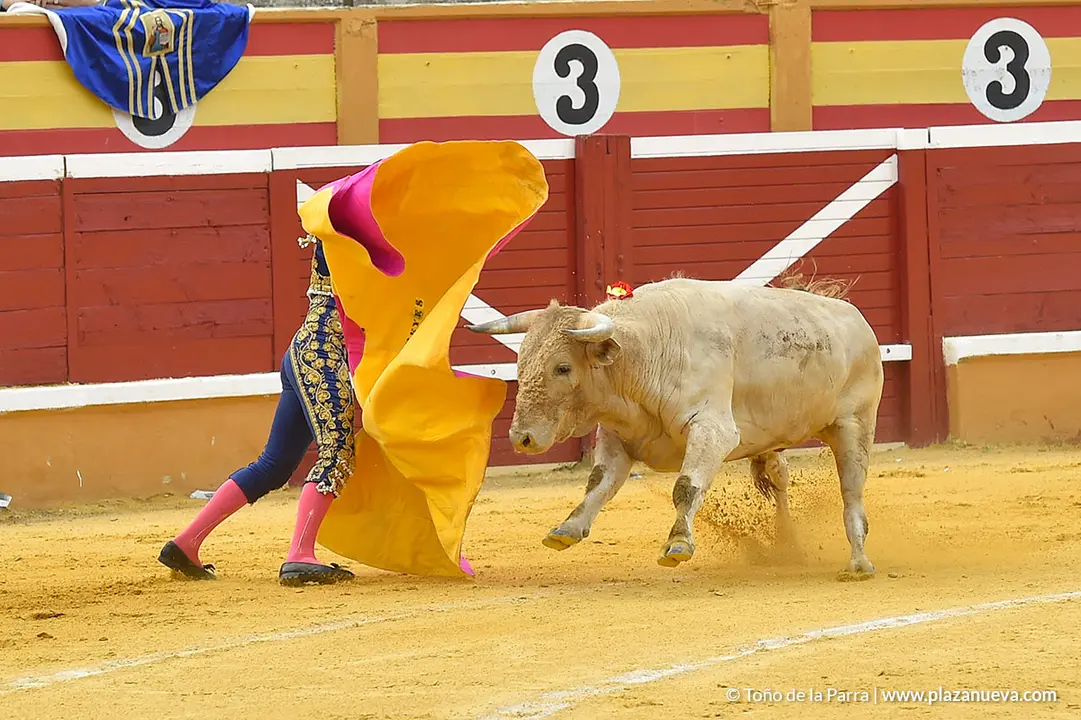 FIESTAS2023_25_NOVILLADA (17)