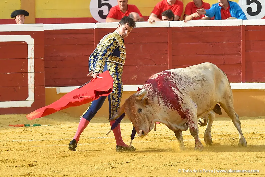 FIESTAS2023_25_NOVILLADA (21)