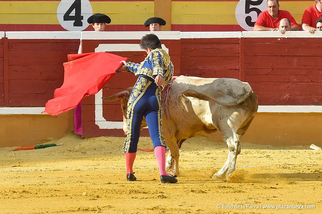 FIESTAS2023_25_NOVILLADA (22)