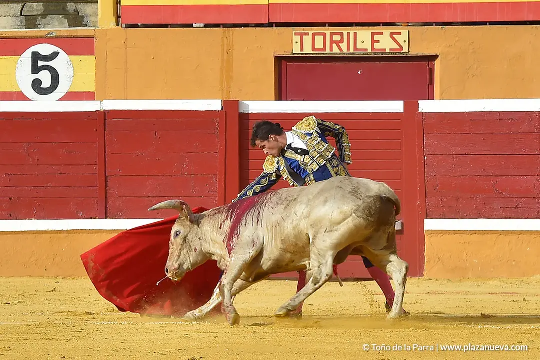 FIESTAS2023_25_NOVILLADA (24)