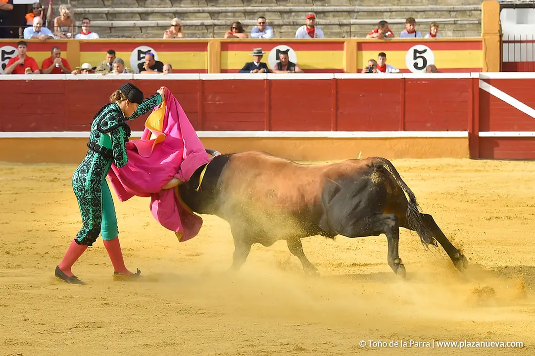 FIESTAS2023_25_NOVILLADA (29)