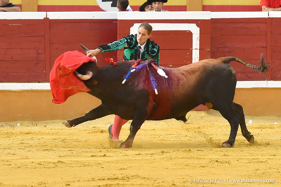 FIESTAS2023_25_NOVILLADA (32)
