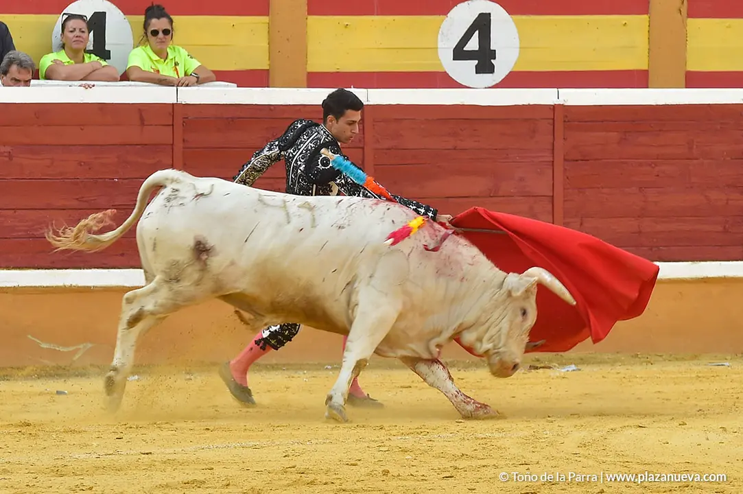 FIESTAS2023_25_NOVILLADA (35)