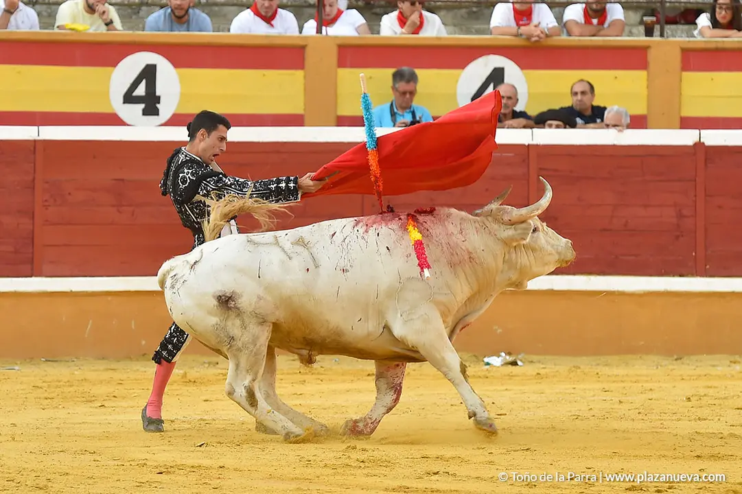 FIESTAS2023_25_NOVILLADA (36)