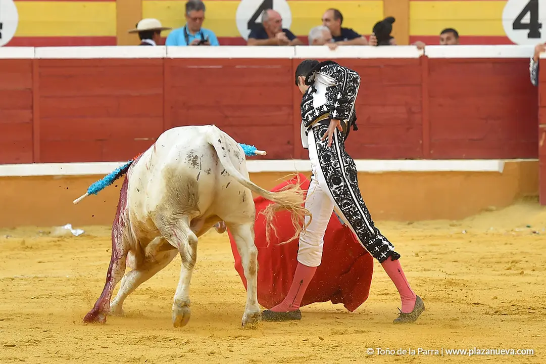 FIESTAS2023_25_NOVILLADA (37)