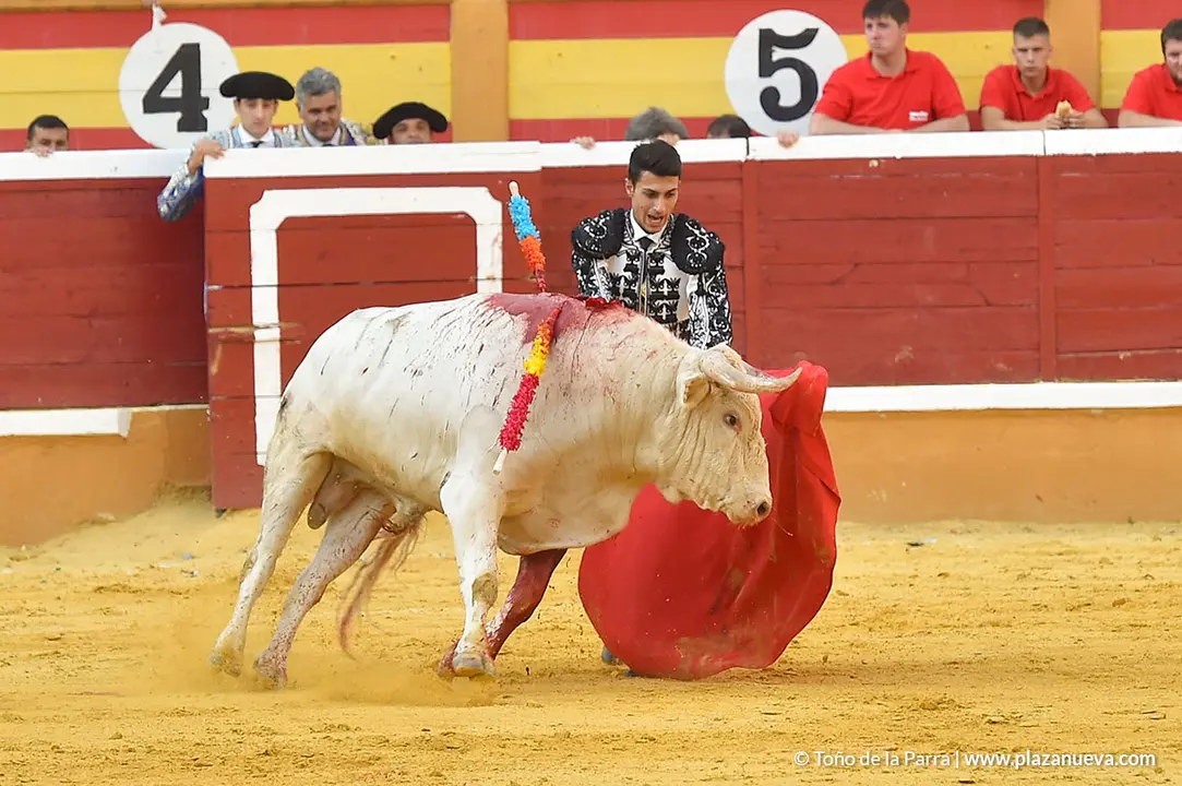 FIESTAS2023_25_NOVILLADA (40)