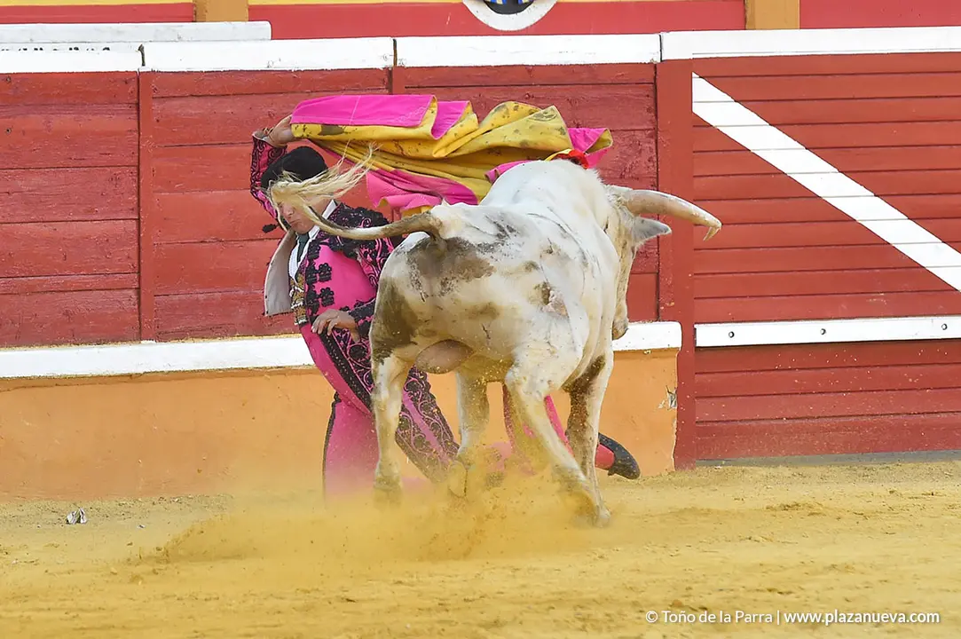 FIESTAS2023_25_NOVILLADA (42)