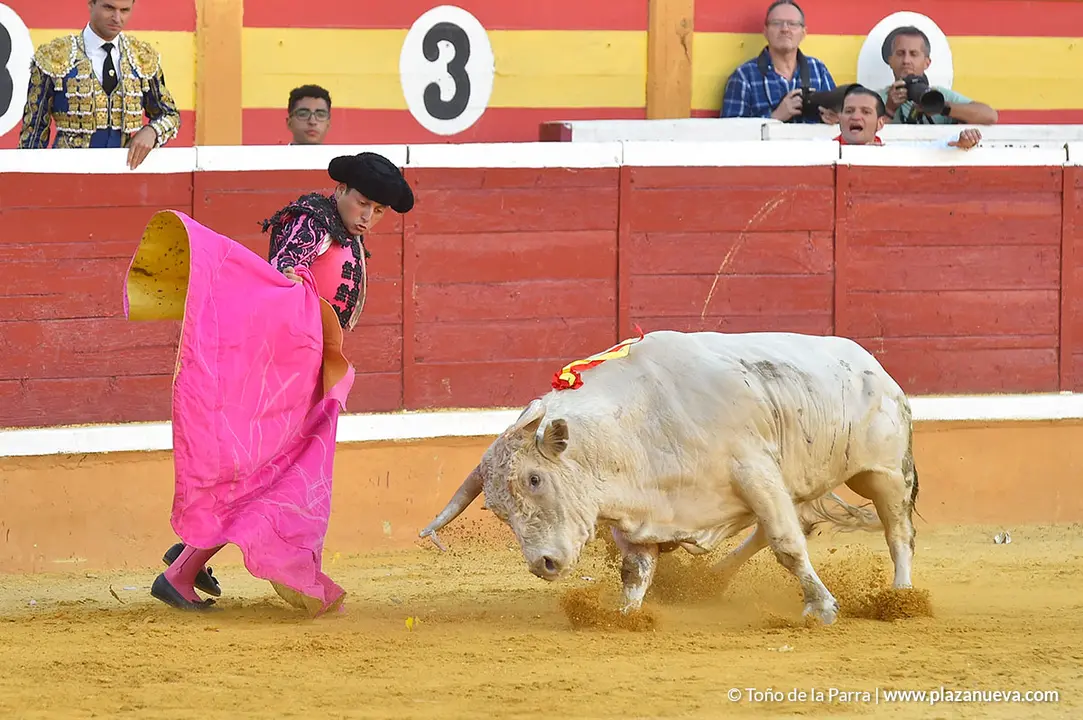 FIESTAS2023_25_NOVILLADA (44)