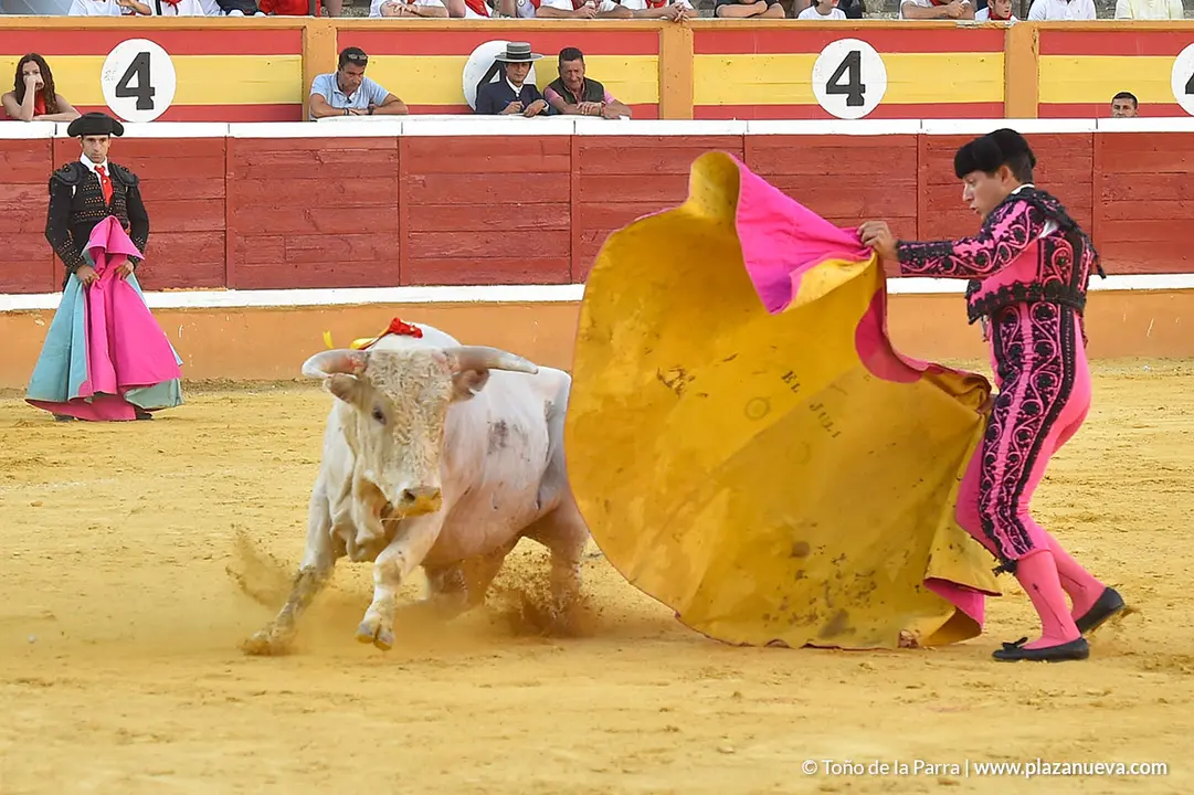 FIESTAS2023_25_NOVILLADA (45)