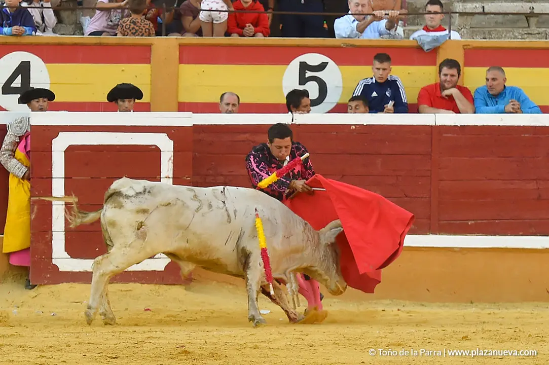 FIESTAS2023_25_NOVILLADA (46)