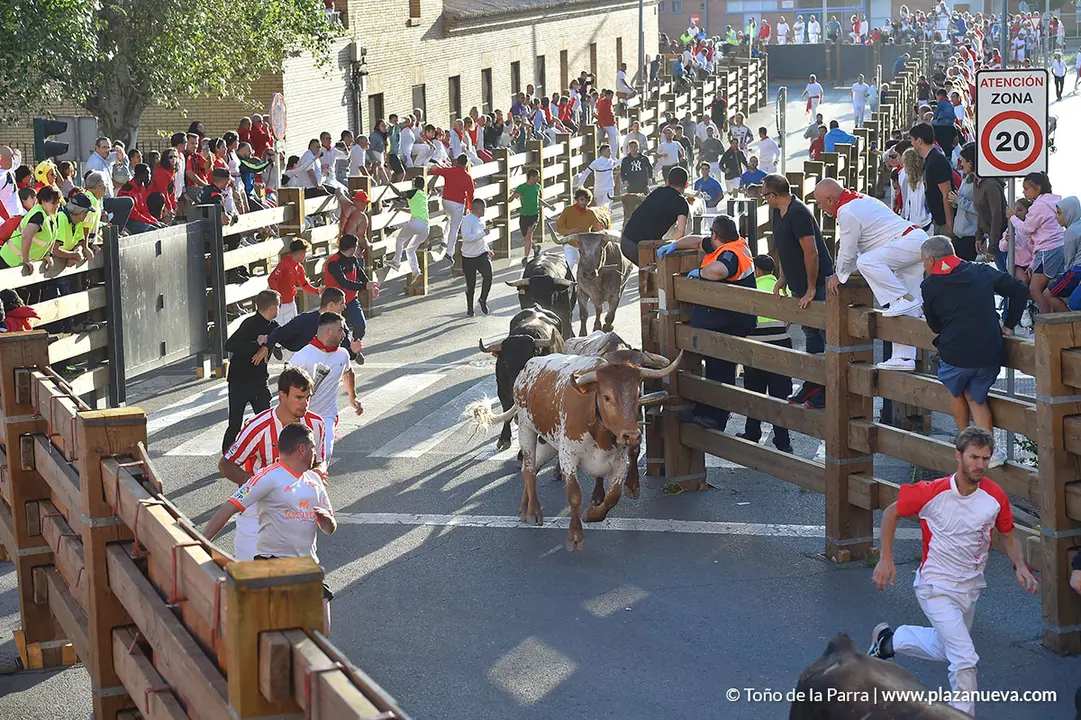 FIESTAS2023_26_ENCIERRO (17)