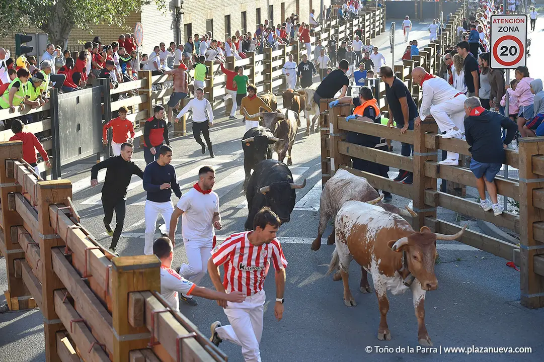 FIESTAS2023_26_ENCIERRO (18)