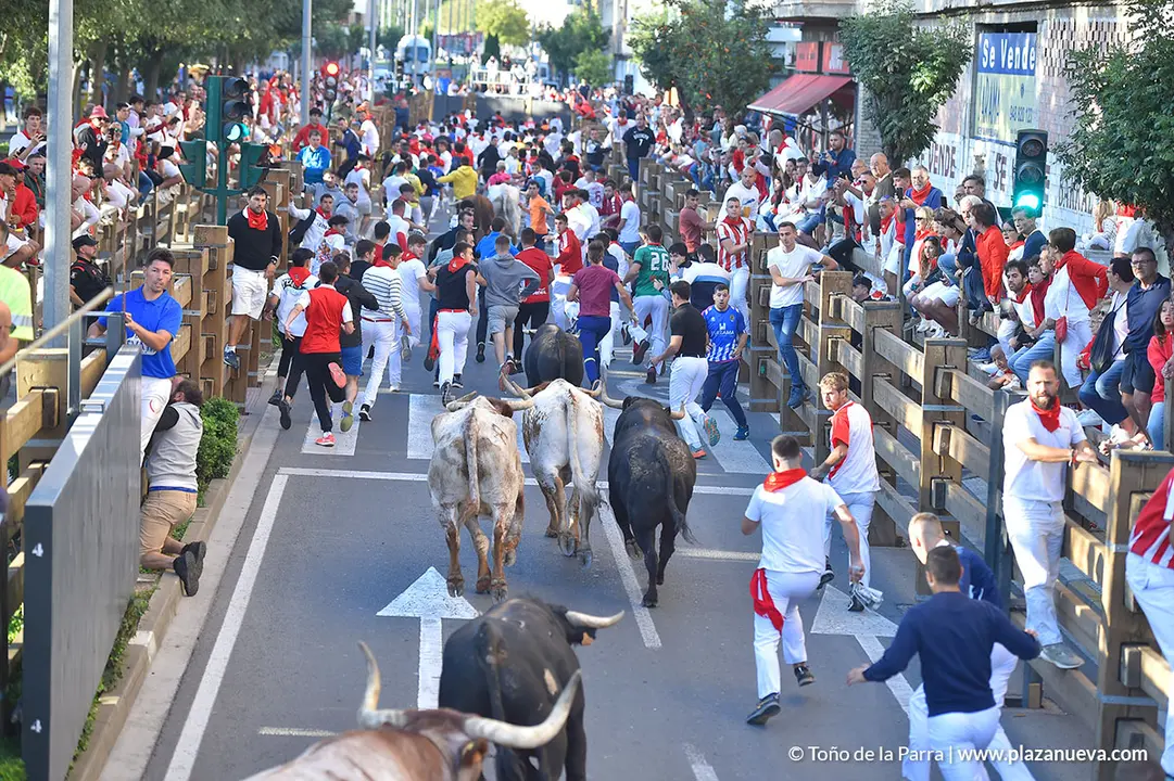 FIESTAS2023_26_ENCIERRO (23)