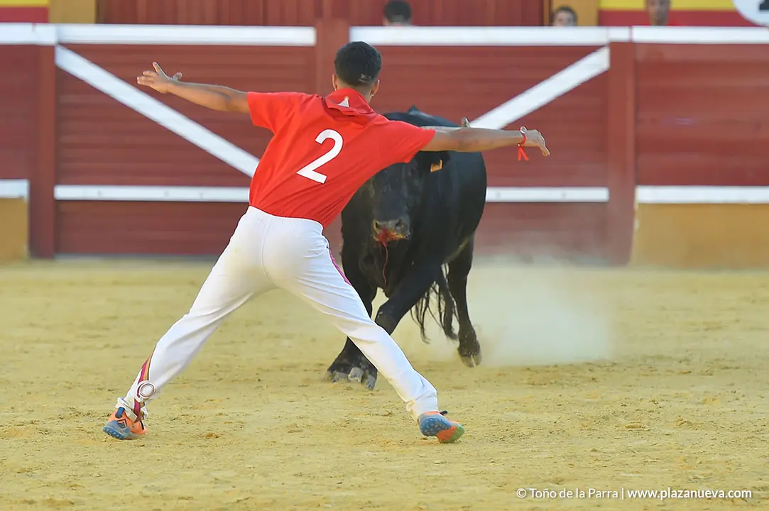 FIESTAS2023_26_RECORTES (4)