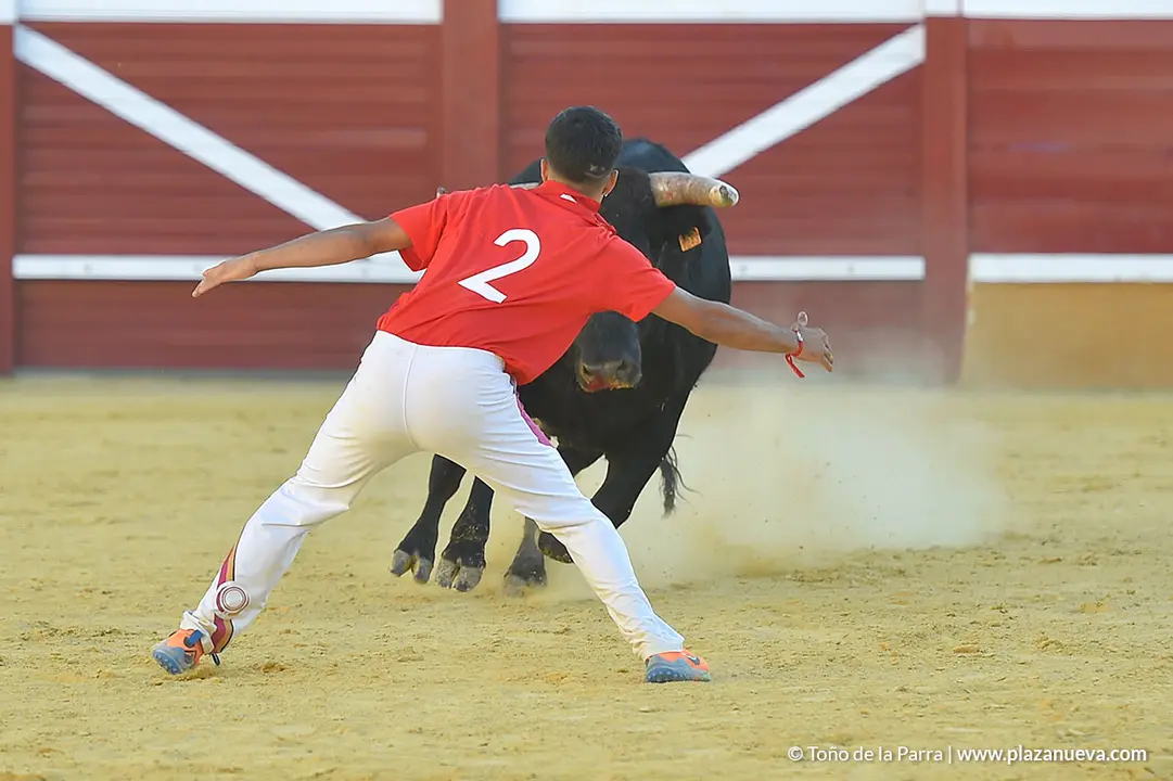 FIESTAS2023_26_RECORTES (5)