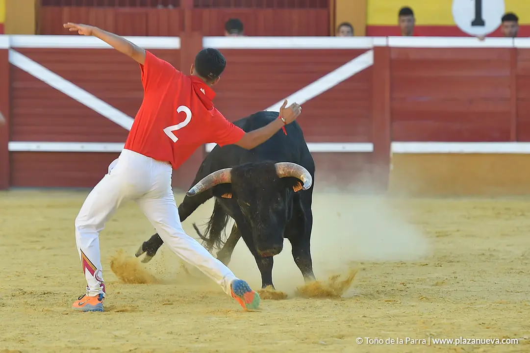 FIESTAS2023_26_RECORTES (6)