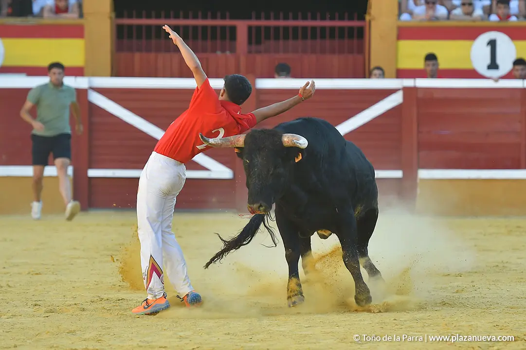 FIESTAS2023_26_RECORTES (7)