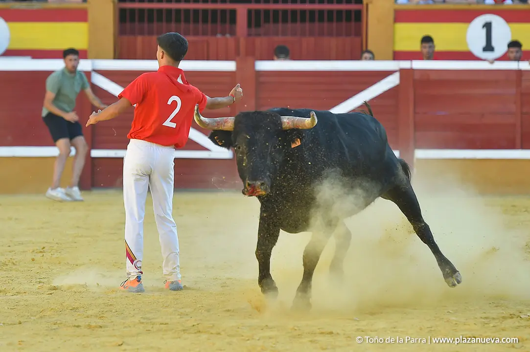 FIESTAS2023_26_RECORTES (8)