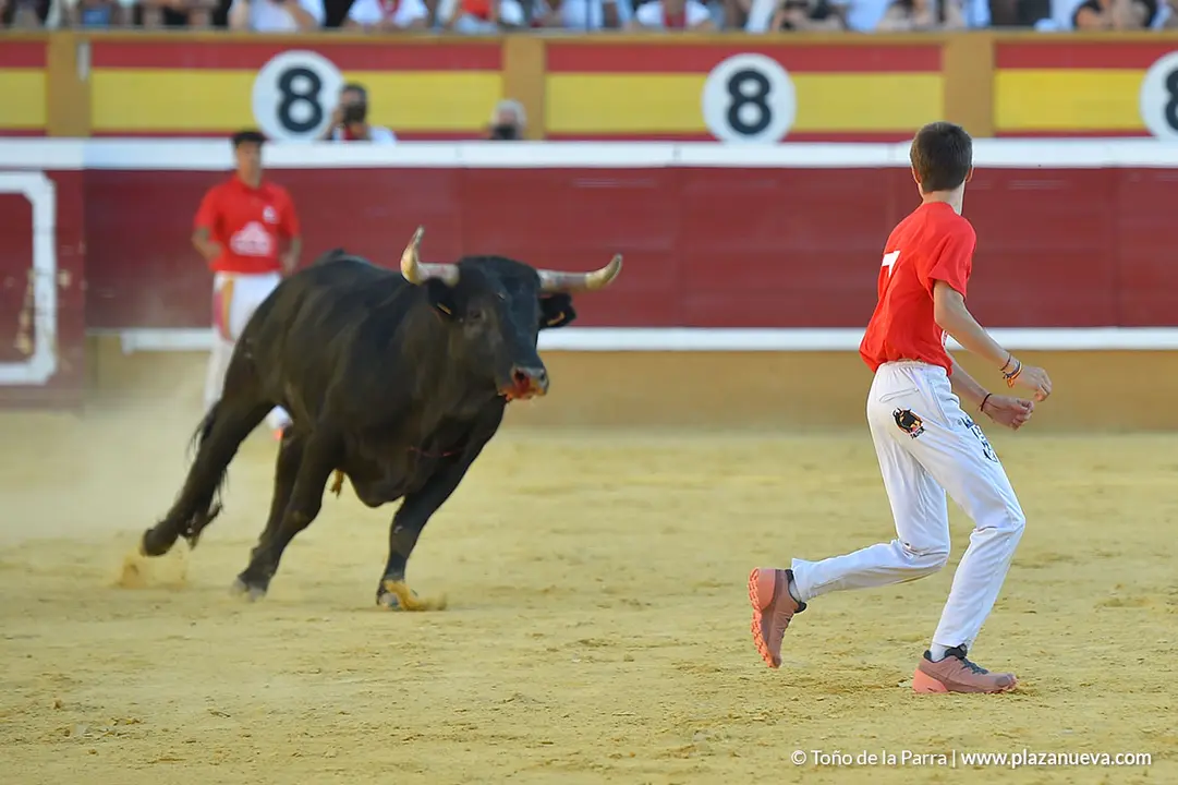 FIESTAS2023_26_RECORTES (10)