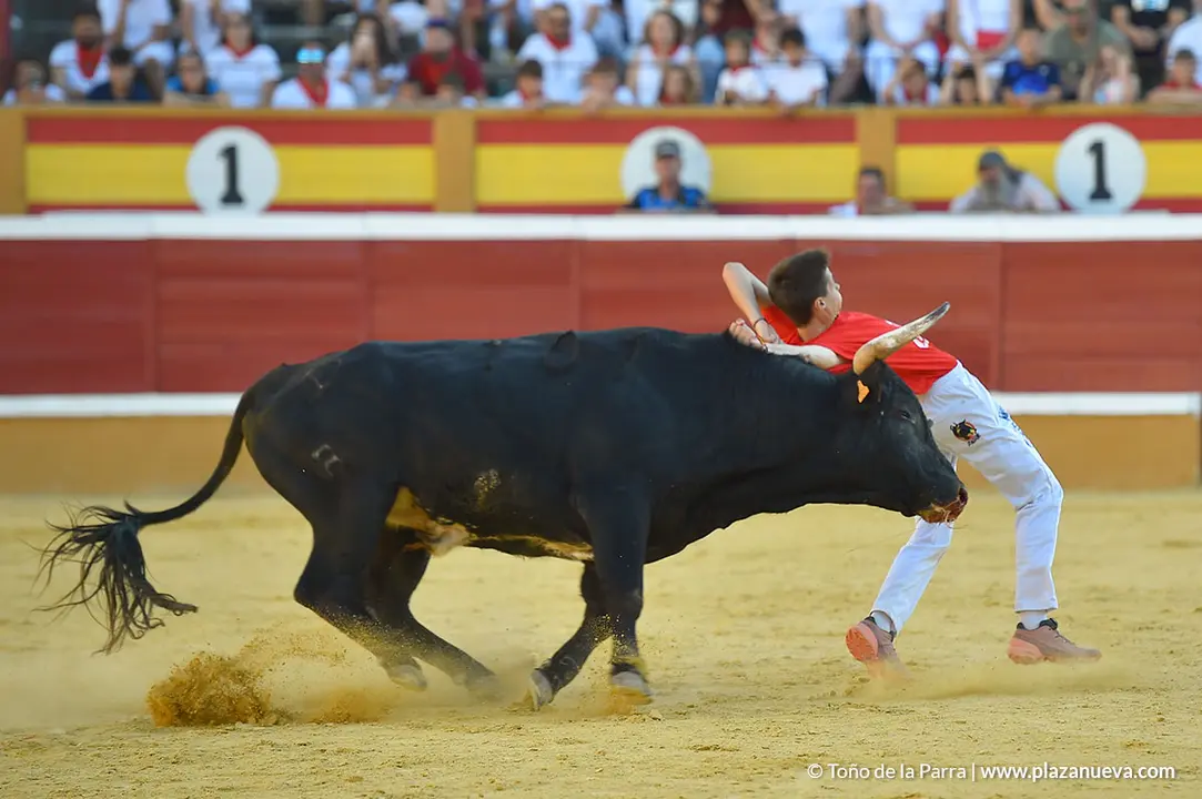FIESTAS2023_26_RECORTES (12)