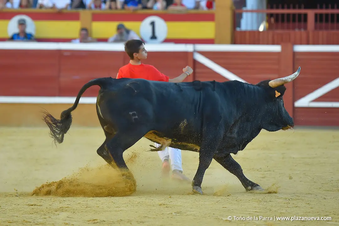 FIESTAS2023_26_RECORTES (13)