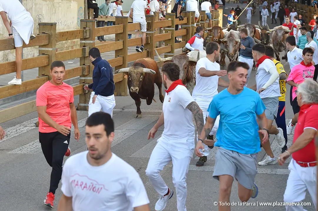 FIESTAS2023_27_ENCIERRO (7)
