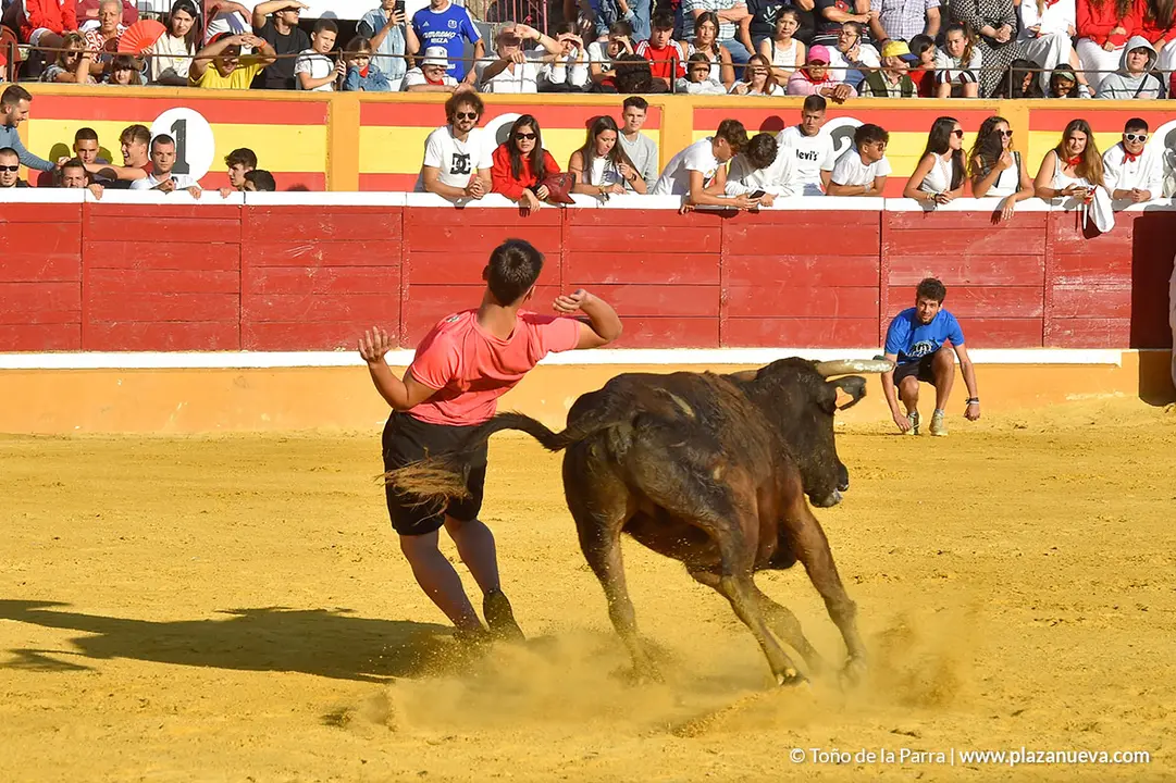 FIESTAS2023_27_ENCIERRO (19)