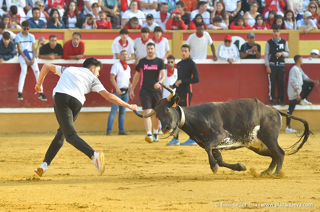FIESTAS2023_28_ENCIERRO (14)