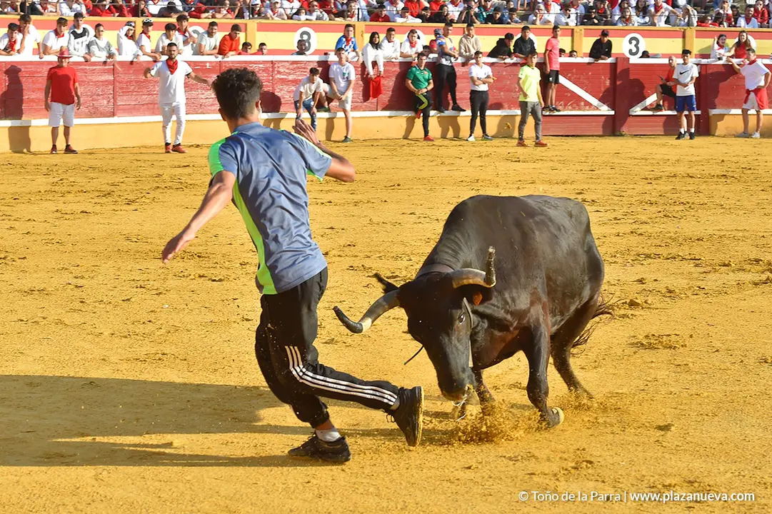 FIESTAS2023_28_ENCIERRO (20)