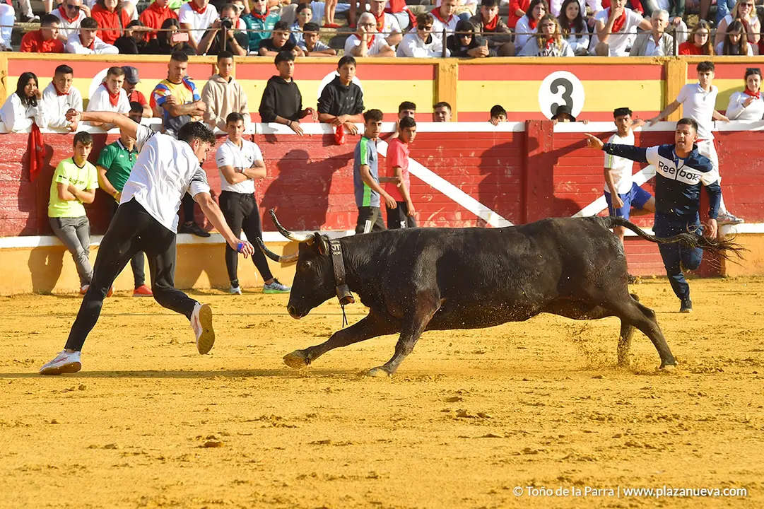 FIESTAS2023_28_ENCIERRO (24)