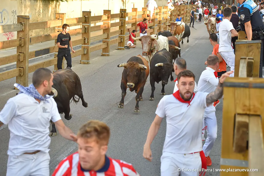 FIESTAS2023_29_ENCIERRO (9)