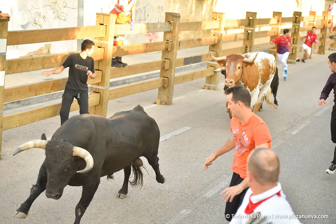 FIESTAS2023_29_ENCIERRO (12)