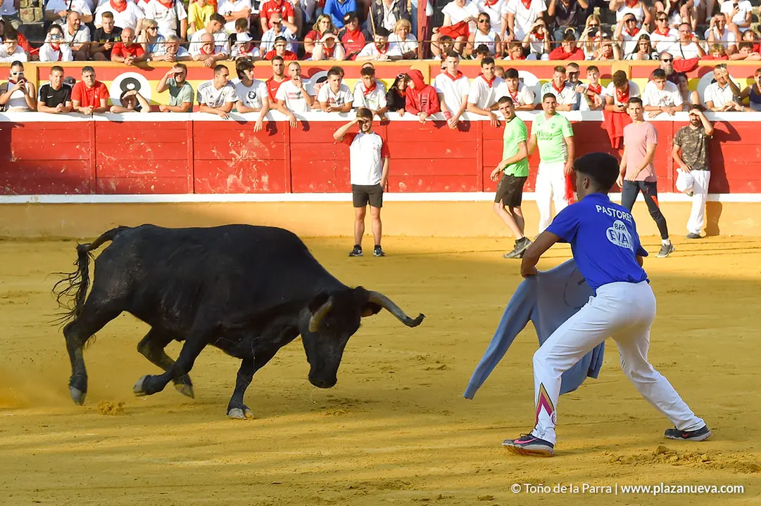FIESTAS2023_29_ENCIERRO (28)