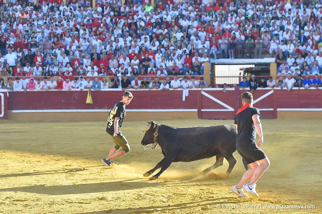 FIESTAS2023_30_ENCIERRO (26)