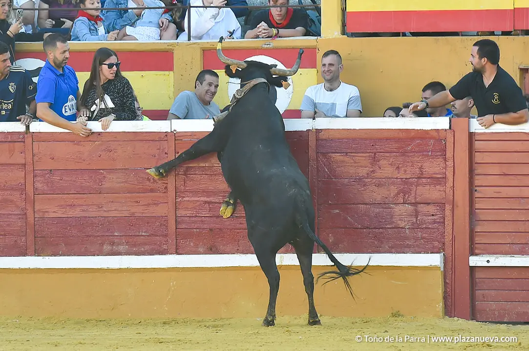 FIESTAS2023_30_ENCIERRO (31)