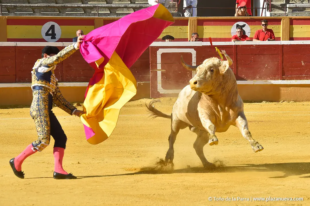 FIESTAS2023_30_CORRIDA_TOROS (4)
