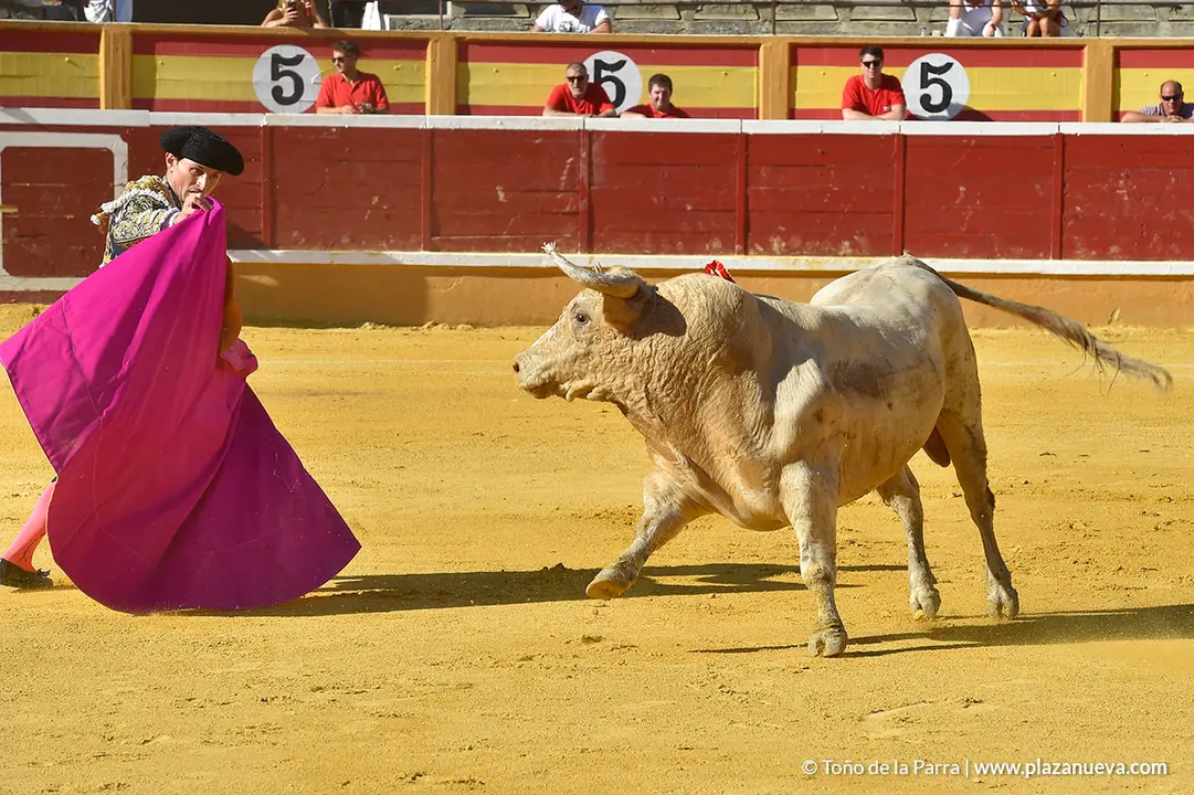 FIESTAS2023_30_CORRIDA_TOROS (5)