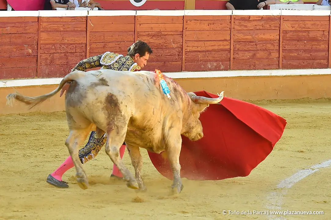 FIESTAS2023_30_CORRIDA_TOROS (8)