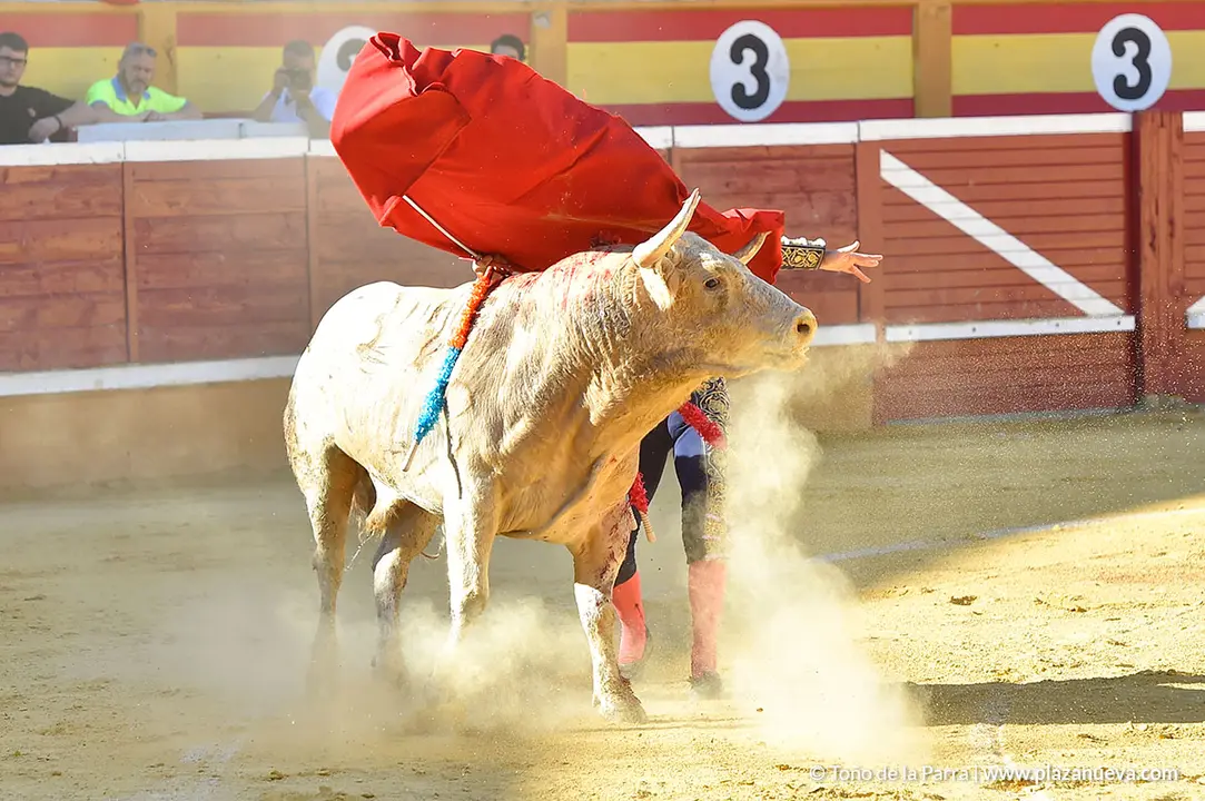 FIESTAS2023_30_CORRIDA_TOROS (9)